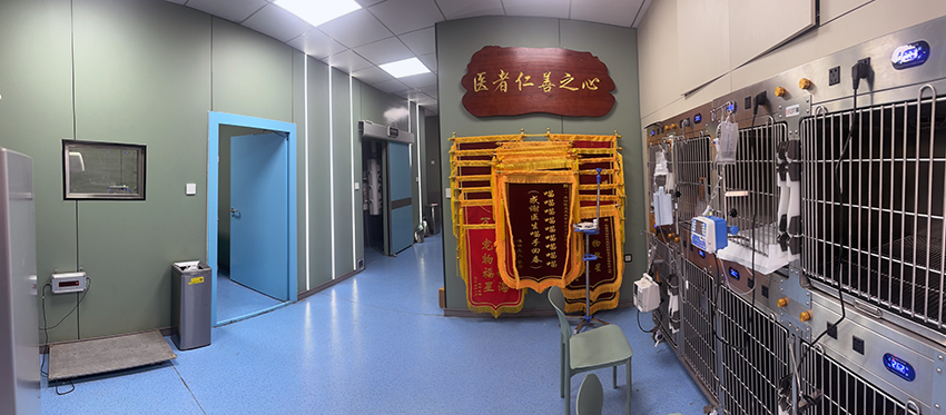 文章插图